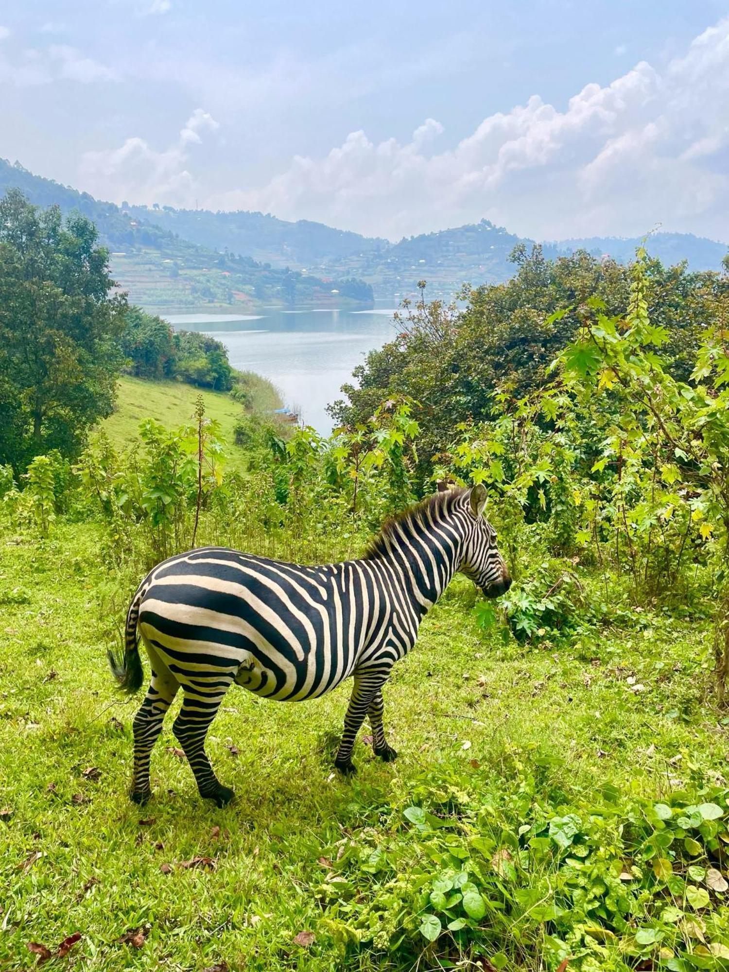 Om Hostel Bunyonyi Kabale Zewnętrze zdjęcie